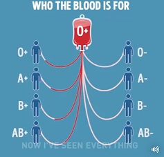 blood types data